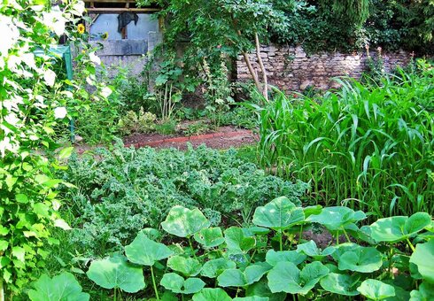 Im Garten