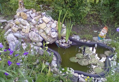 kleiner Teich im Garten
