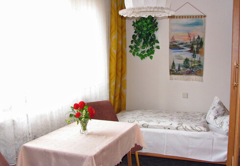Blick in ein Wohn-/ Schlafzimmer
