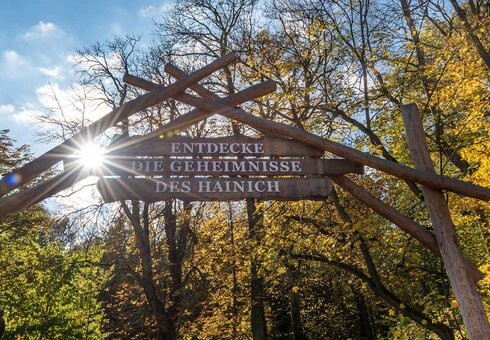 Nationalpark Hainich