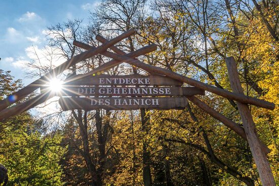 Nationalpark Hainich
