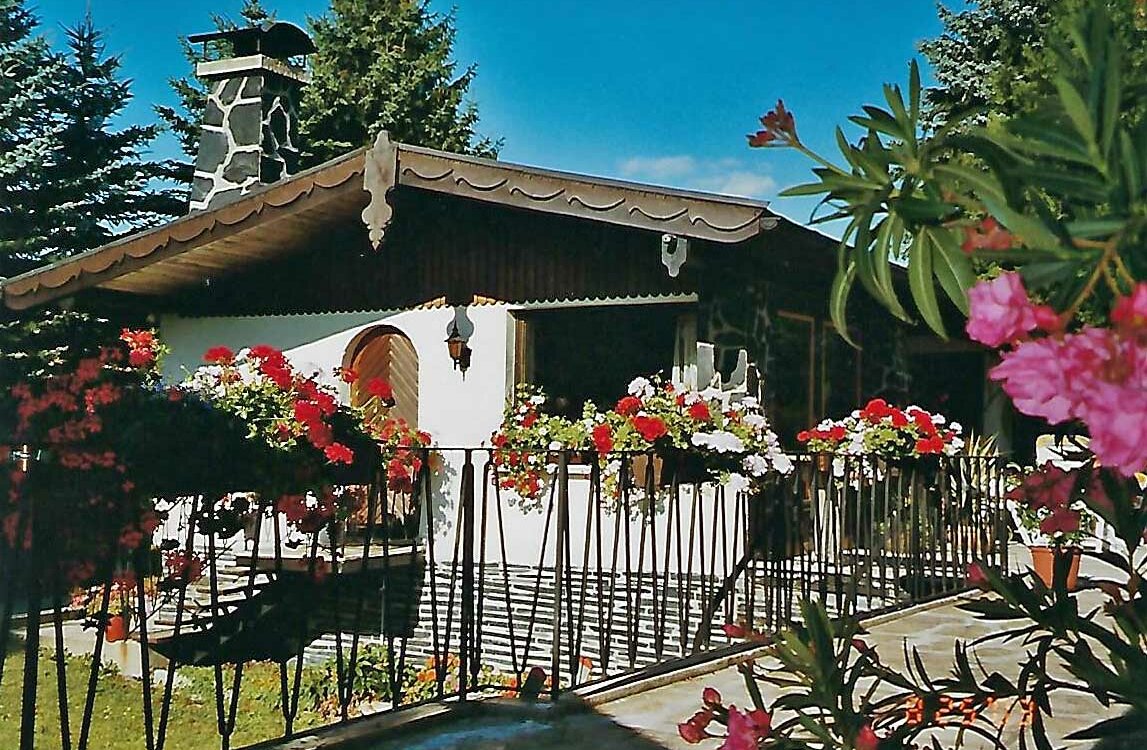 Ferienhaus-am-Wald-Masserberg-Panorama