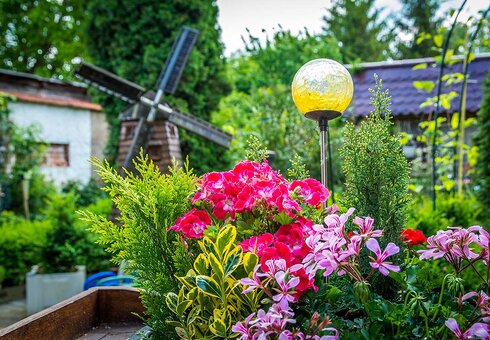 Blumenpracht im Garten