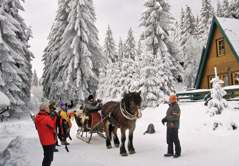 Pferdeschlitten auf dem Rennsteig