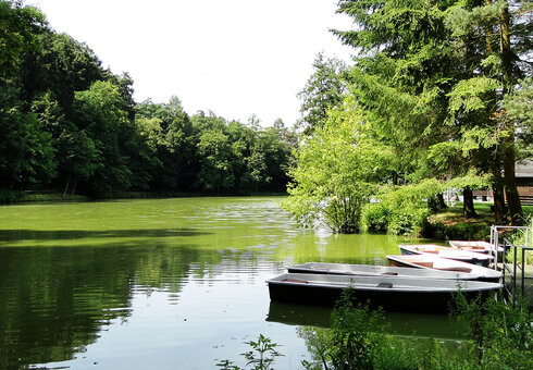 Badestelle am Frauensee