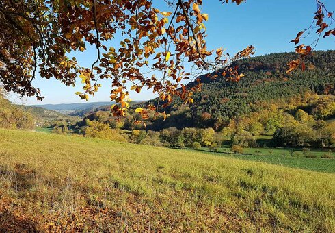 Landschaft bei Rudolstadt