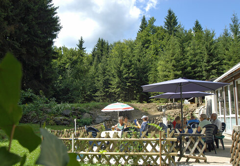Biergarten / Terrasse