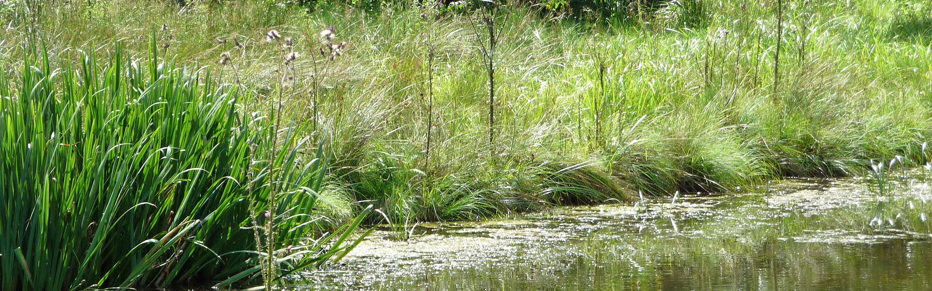 Zeitzgrund und Mühltal