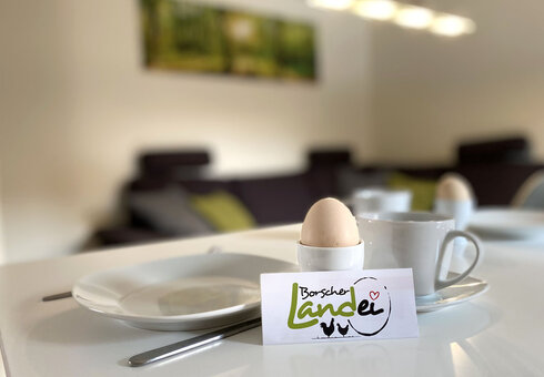 frische Bio-Eier zum Frühstück