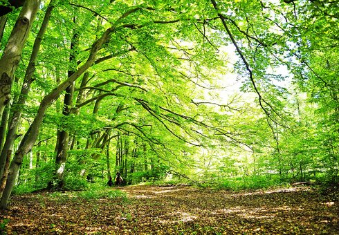 Wanderweg in der Rhön