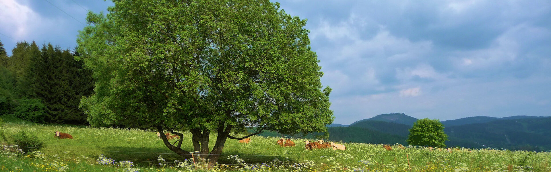 Landschaft bei Rotterode
