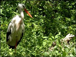 Tierpark Suhl