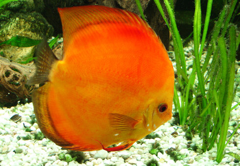 Erlebnispark Meeresaquarium