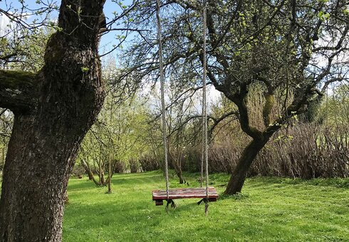 alter Obstgarten