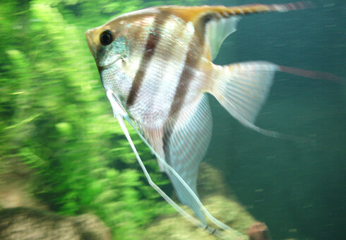 Erlebnispark Meeresaquarium