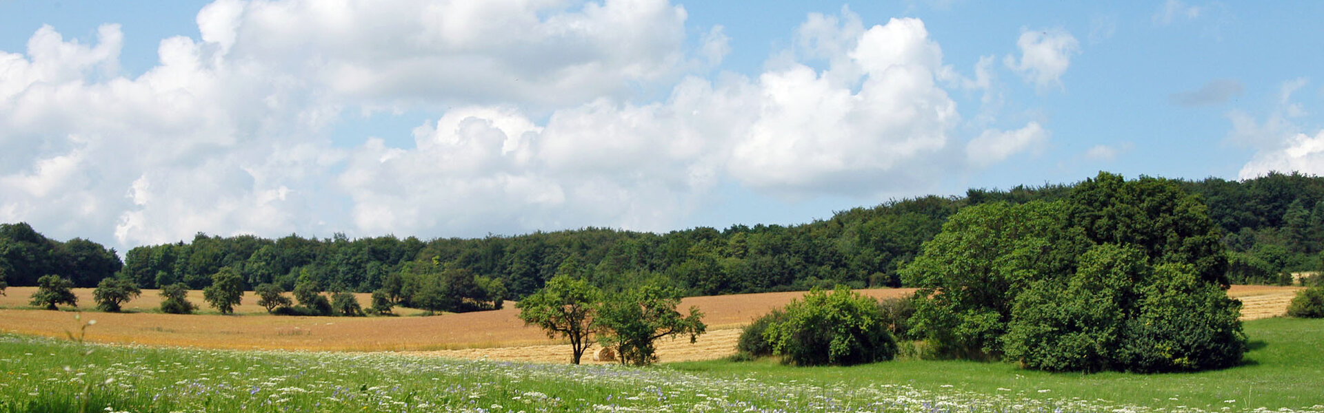 Landschaft im Grabfeld