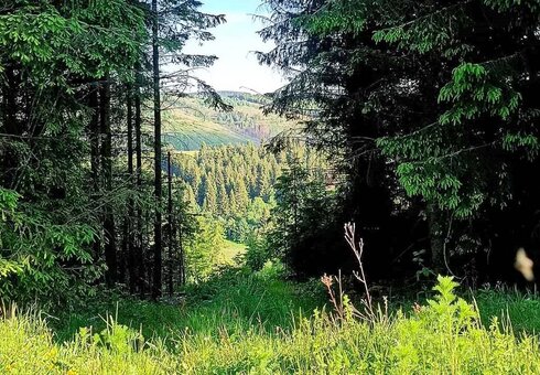 Blick auf Hasenthal