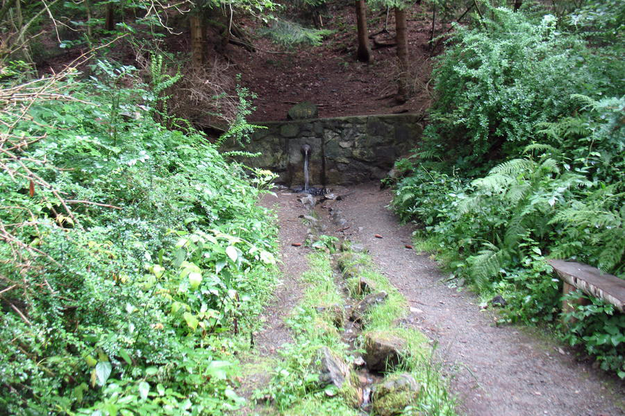 Waldquelle
