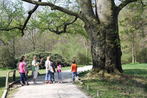 Parkführung