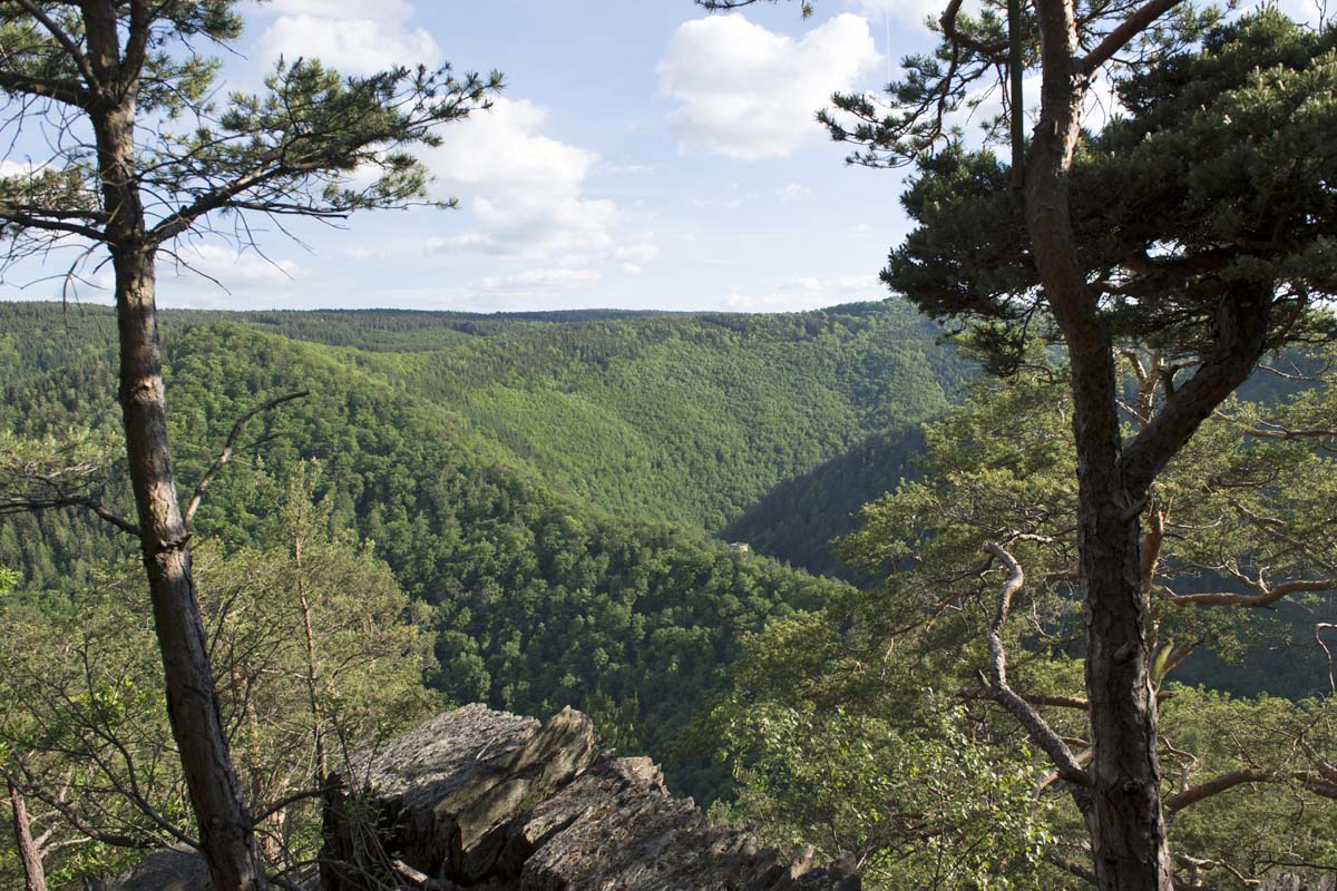 Große Panoramatour im Schwarzatal