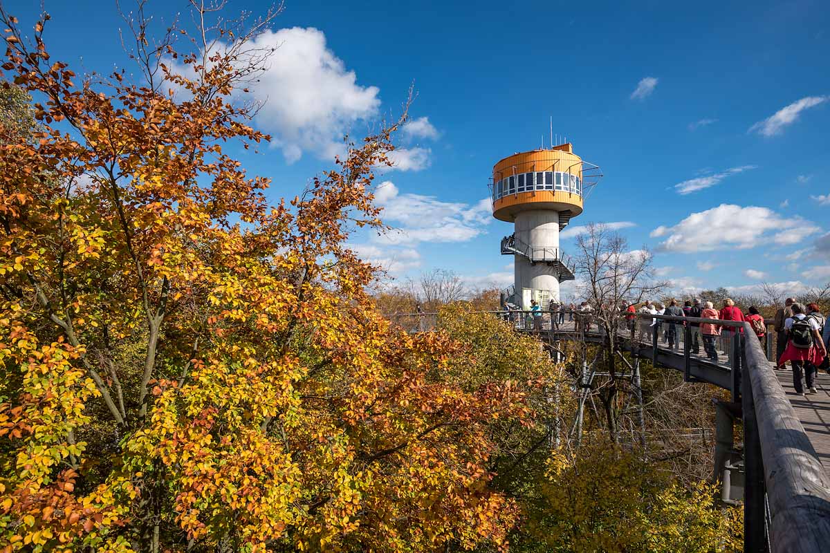 Baumkronenpfad im Nationalpark Hainich