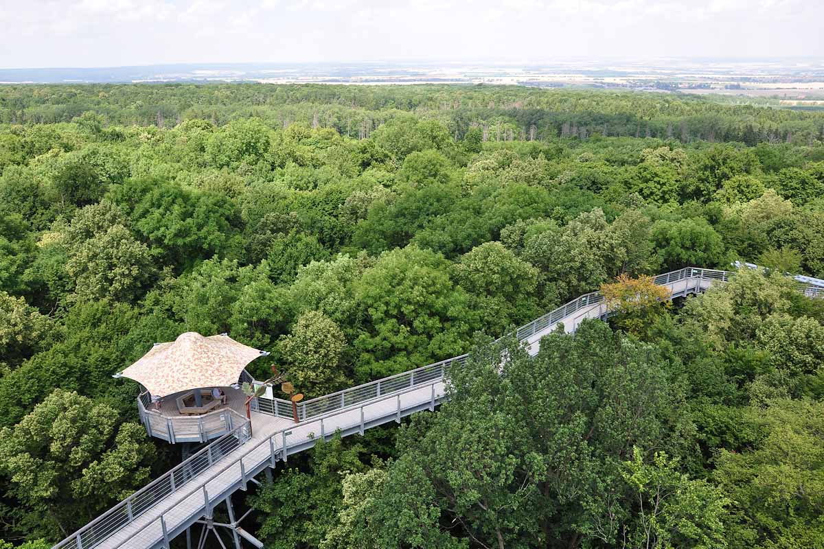 Baumkronenpfad im Nationalpark Hainich