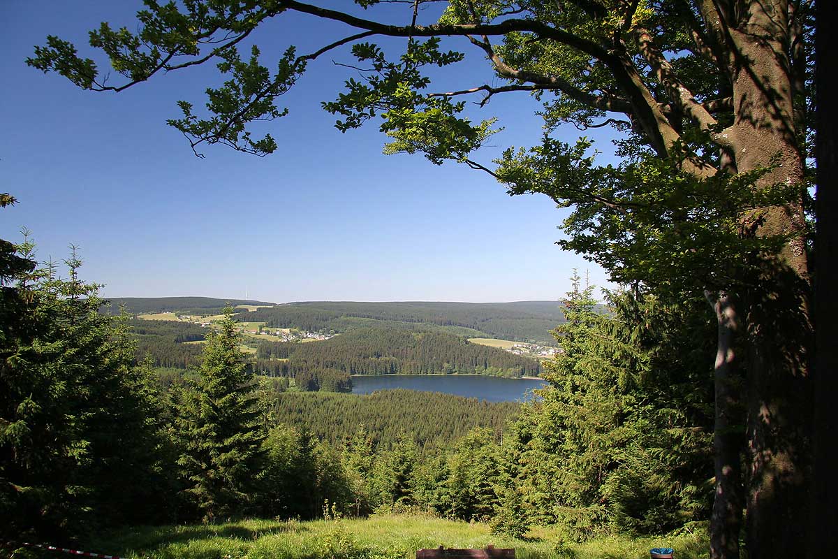 Wandern im Thüringer Wald