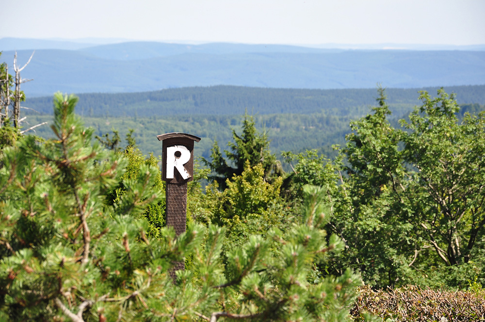 Natur pur im Thüringer Wald