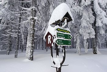 Winterwandern am Rennsteig