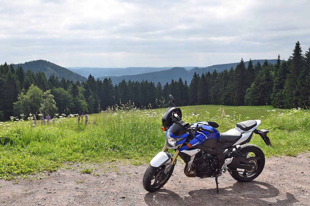 Landschaft im Thüringer Wald